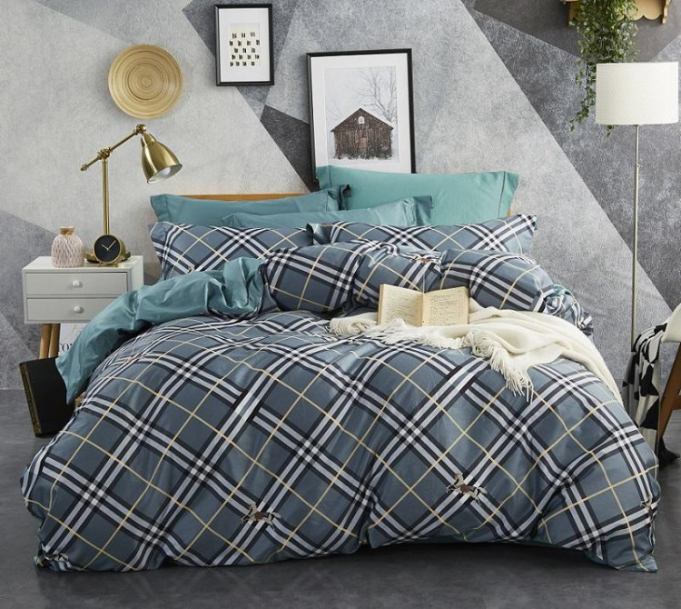 Постельное белье из египетского хлопка TANGO TIS-871 50х70 (2шт), 70х70 (2шт) евро