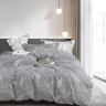 Постельное белье из твила TANGO TPIG6-1814 50х70 (2шт), 70х70 (2шт) евро