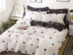 Постельное белье из микросатина TANGO DF-454 DREAM FLY 50х70 (1шт), 70х70 (1шт) 1,5-спальное