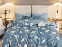 Постельное белье из твил-сатина в ПВХ TANGO нансис 50х70 (2шт) евро