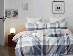Постельное белье из сатина АЛЬВИТЕК клетка бежево-голубое семейное