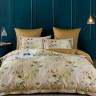 Постельное белье из египетского хлопка Premium ASABELLA 2113-6 50х70 (2шт) и 70х70 (2шт) евро