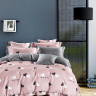 Постельное белье из египетского хлопка TANGO TIS-853 50х70 (2шт), 70х70 (2шт) семейное