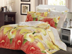 Постельное белье из сатина печатного САЙЛИД B-152 1,5-спальное