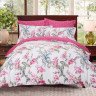 Постельное белье из сатина печатного САЙЛИД B-184 евро