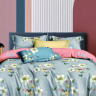 Постельное белье из сатина ASABELLA 1900-6 50х70 (2шт) и 70х70 (2шт) евро