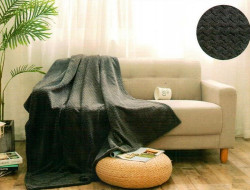 Плед из велсофта АЛЬВИТЕК SOFT PLUSH 008-SP 200х220