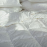 Одеяло пуховое GERMAN GRASS Princess Down Grass всесезонное 150х200