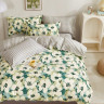 Постельное белье из твила TANGO TPIG-1838-50 50х70 (2шт) семейное