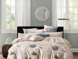 Постельное белье из микросатина TANGO DREAM FLY DF-357-50 50х70 (2шт) 2-спальное