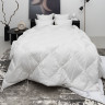 Одеяло стеганое GERMAN GRASS PRIME DOWN GRASS 160х220 всесезонное