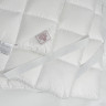 Перина пуховая GERMAN GRASS ROYAL DOWN GRASS 180х200