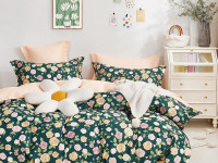 Постельное белье из твила TANGO TPIG-1839-50 50х70 (2шт) семейное