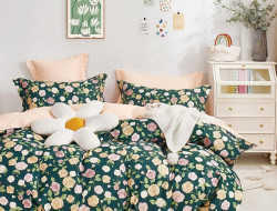 Постельное белье из твила TANGO TPIG-1839-50 50х70 (2шт) семейное