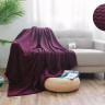 Плед из велсофта АЛЬВИТЕК SOFT PLUSH 004-SP 200х220