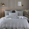Постельное белье из египетского хлопка Premium ASABELLA 2111-7 50х70 (2шт) и 70х70 (2шт) семейное