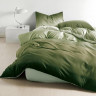Постельное белье из микросатина TANGO градиент зеленый 50х70 (2шт) 2-спальное