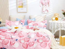 Постельное белье из твила в ПВХ TANGO TPIG-1752 50х70 (2шт) евро