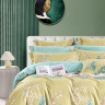 Постельное белье из сатина ASABELLA 1858-6 50х70 (2шт) и 70х70 (2шт) евро
