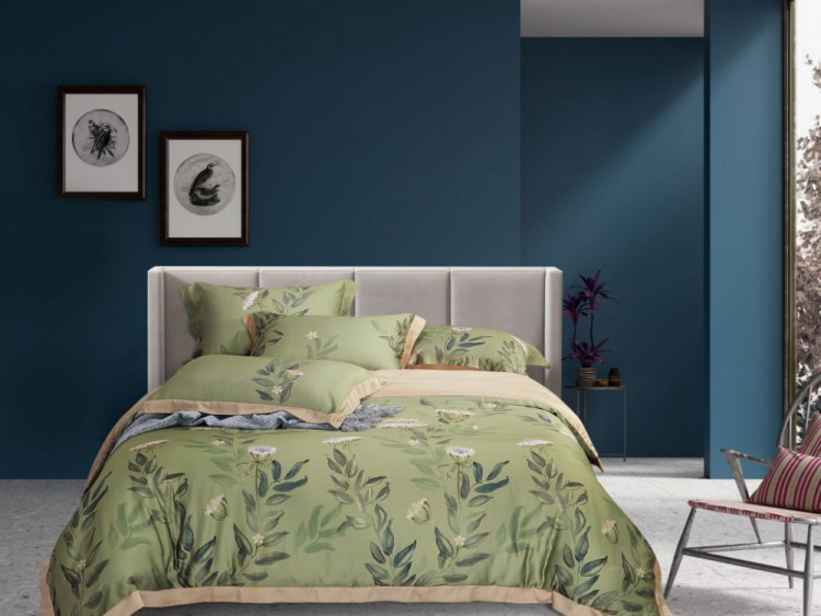 Постельное белье из тенсела люкс ASABELLA 1967-6 50х70 (2шт) и 70х70 (2шт) евро