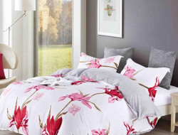 Постельное белье из микросатина TANGO DREAM FLY DF-258-70 70х70 (2шт) семейное