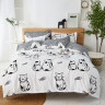 Постельное белье из микросатина TANGO DF-488-50 DREAM FLY 50х70 (2шт) 2-спальное