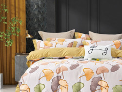 Постельное белье из сатина ASABELLA 2030-6 50х70 (2шт) и 70х70 (2шт) евро