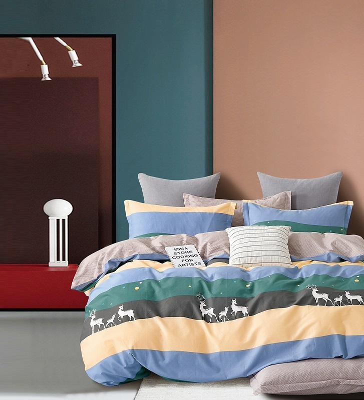 Постельное белье из твила в ПВХ TANGO TPIG-1792 50х70 (2шт) евро