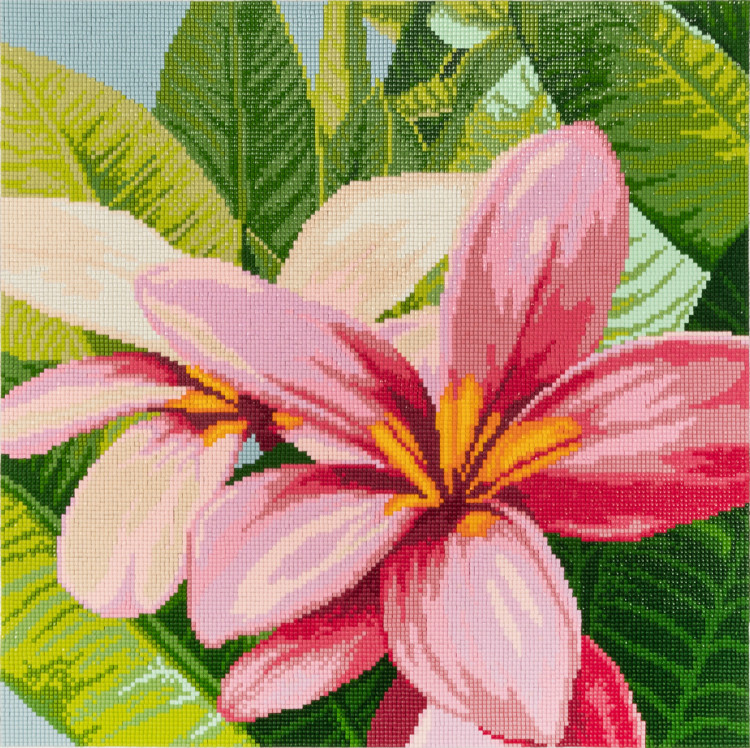 Кристальная (алмазная) мозаика ФРЕЯ ALVR-239 Цветы франжипани
