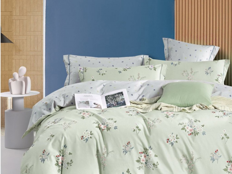 Постельное белье из сатина ASABELLA 2034-6 50х70 (2шт) и 70х70 (2шт) евро