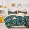 Постельное белье из твила TANGO TPIG-1840 50х70 (2шт), 70х70 (2шт) евро