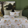 Постельное белье из египетского хлопка Premium ASABELLA 2118-7 50х70 (2шт) и 70х70 (2шт) семейное
