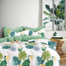 Постельное белье из твила TANGO ферна 50х70 (2шт) 2-спальное