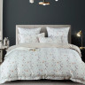 Постельное белье из египетского хлопка Premium ASABELLA 2119-6 50х70 (2шт) и 70х70 (2шт) евро