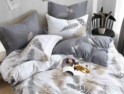 Постельное белье из твила TANGO TPIG6-1031 50х70 (2шт), 70х70 (2шт) евро