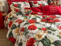 Постельное белье из египетского хлопка TANGO TIS-891 50х70 (2шт), 70х70 (2шт) семейное