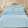 Постельное белье из хлопкового жаккарда со льном и тенселом АЛЬВИТЕК SOFT COTTON CLA-007 евро