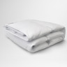 Одеяло пуховое GERMAN GRASS Royal Down Grass Light 200х220