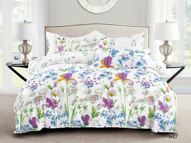 Постельное белье из сатина АЛЬВИТЕК CA-4-647 70х70 (2шт) 2-спальное