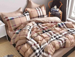 Постельное белье из микросатина TANGO DREAM FLY DF-440-50 50х70 (2шт) семейное