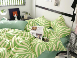 Постельное белье из твила TANGO TPIG-1843 50х70 (2шт), 70х70 (2шт) евро