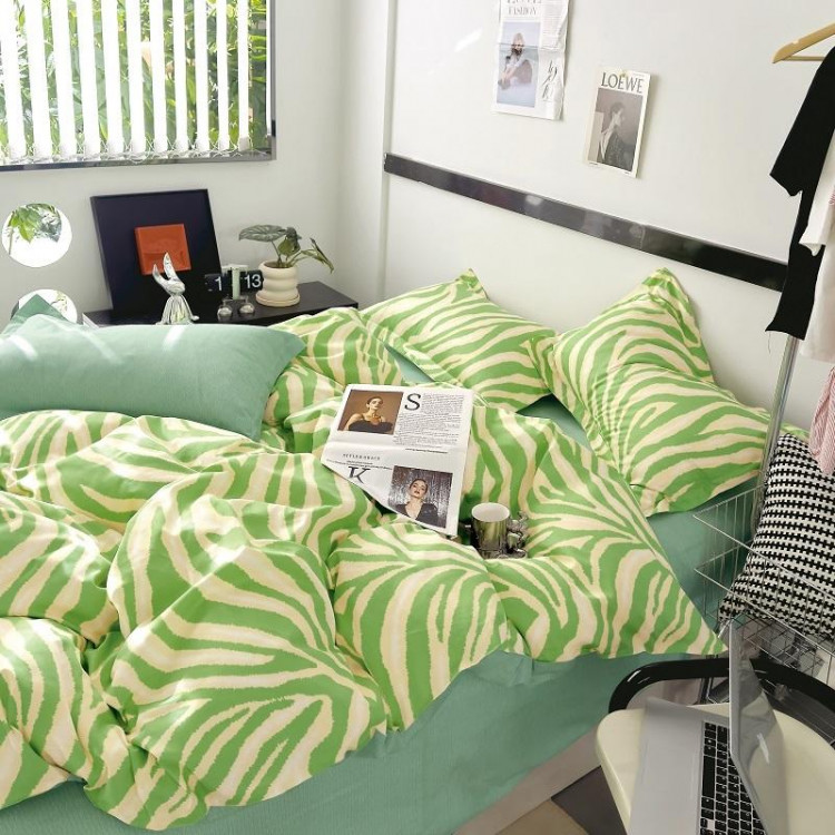 Постельное белье из твила TANGO TPIG-1843 50х70 (2шт), 70х70 (2шт) евро