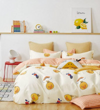 Постельное белье двухстороннее из твила в ПВХ TANGO TPIG-1460 50х70 (2шт) евро