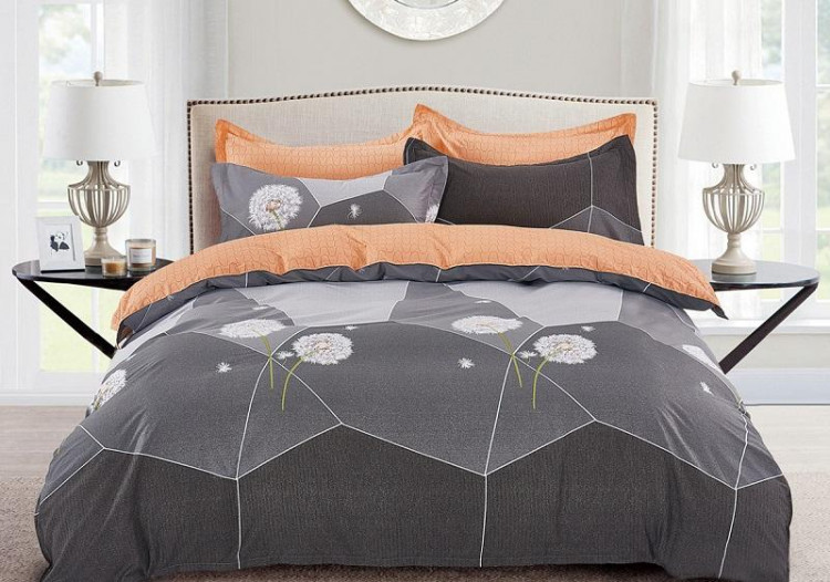 Постельное белье из сатина АЛЬВИТЕК CA-4-654 70х70 (2шт) 2-спальное