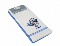 Набор кухонных полотенец хлопковых KARVEN HM770 ASKILI MUTFAK mavi-beyaz V2 40х60 (2шт)