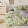 Постельное белье из твила TANGO TPIG-1837 50х70 (2шт), 70х70 (2шт) евро