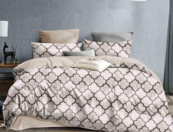 Постельное белье из микросатина TANGO DREAM FLY DF-355-50 50х70 (2шт) семейное