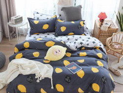 Постельное белье из микросатина TANGO DREAM FLY DF-83-50 50х70 (2шт) семейное