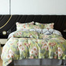 Постельное белье из тенсела люкс ASABELLA 2020-7 50х70 (2шт) и 70х70 (2шт) семейное