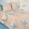 Постельное белье из поплина двухстороннее АЛЬВИТЕК ПА-671 семейное